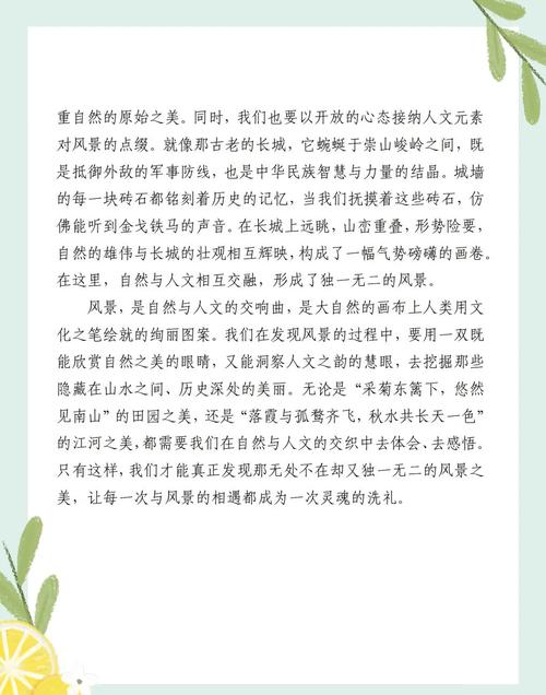 书燕攻略，探索与发现之旅
